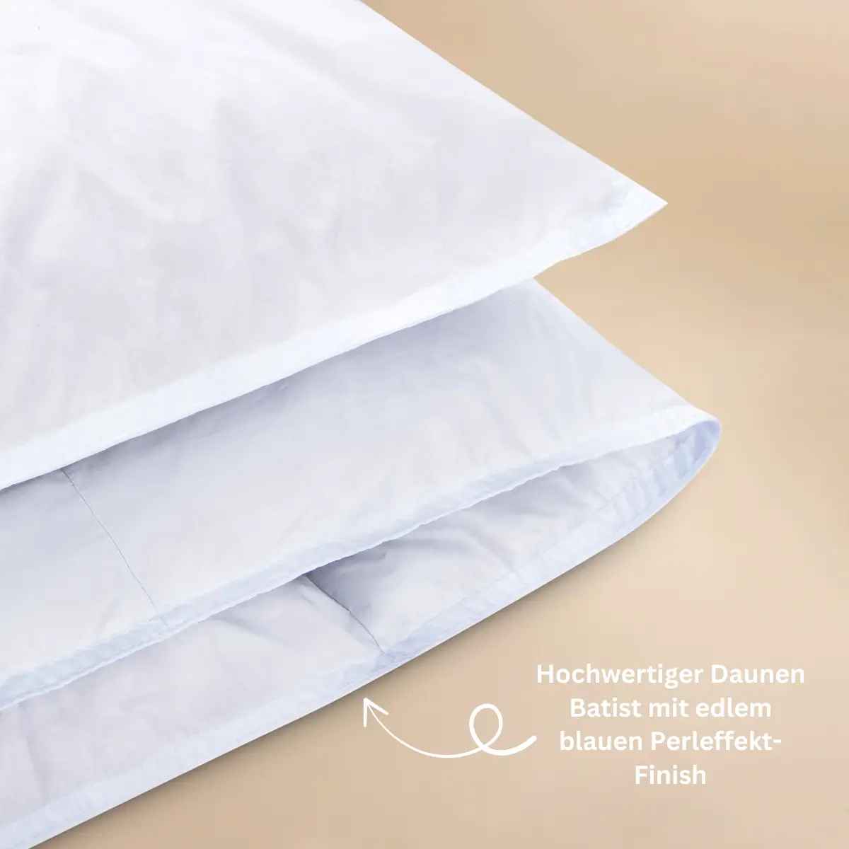 LuxeCosy Premium Daunendecke