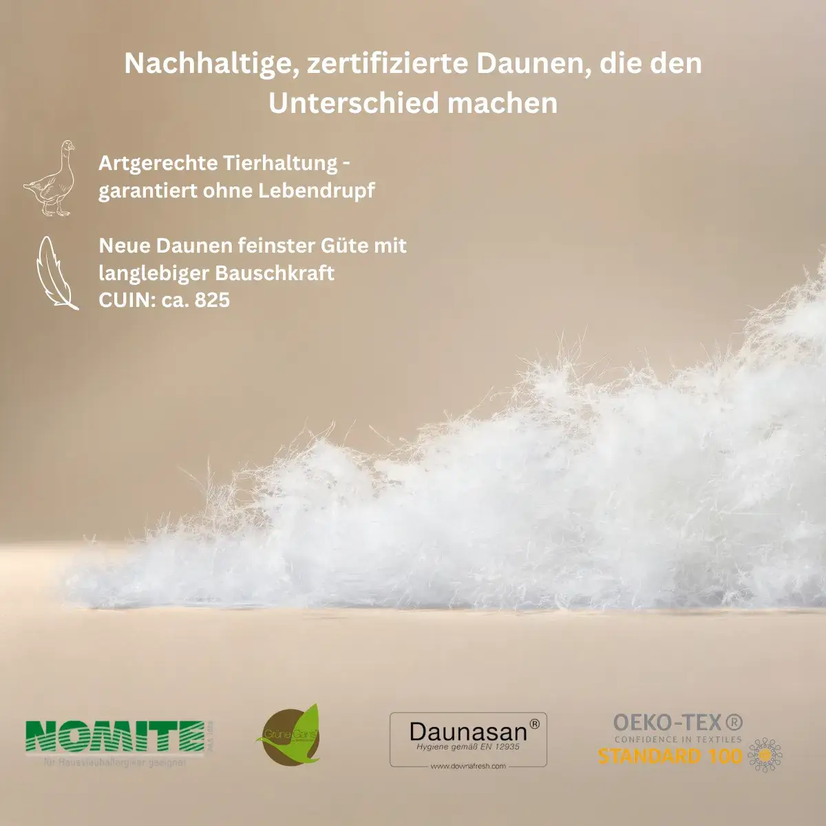 LuxeCosy Pure Daunendecke