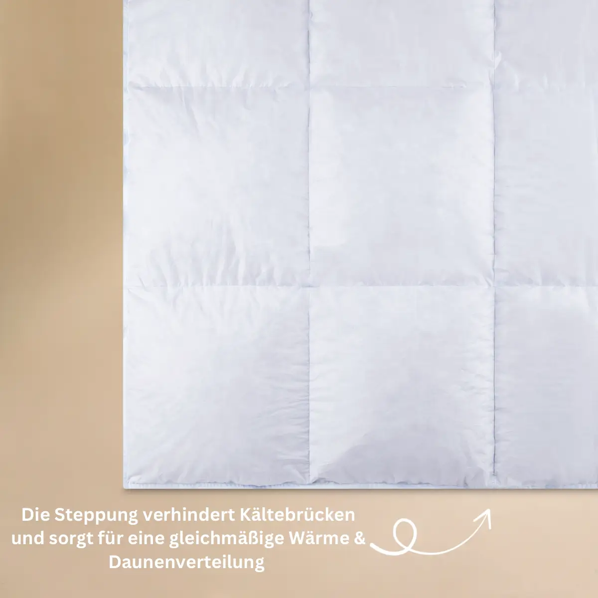 LuxeCosy Premium Daunendecke
